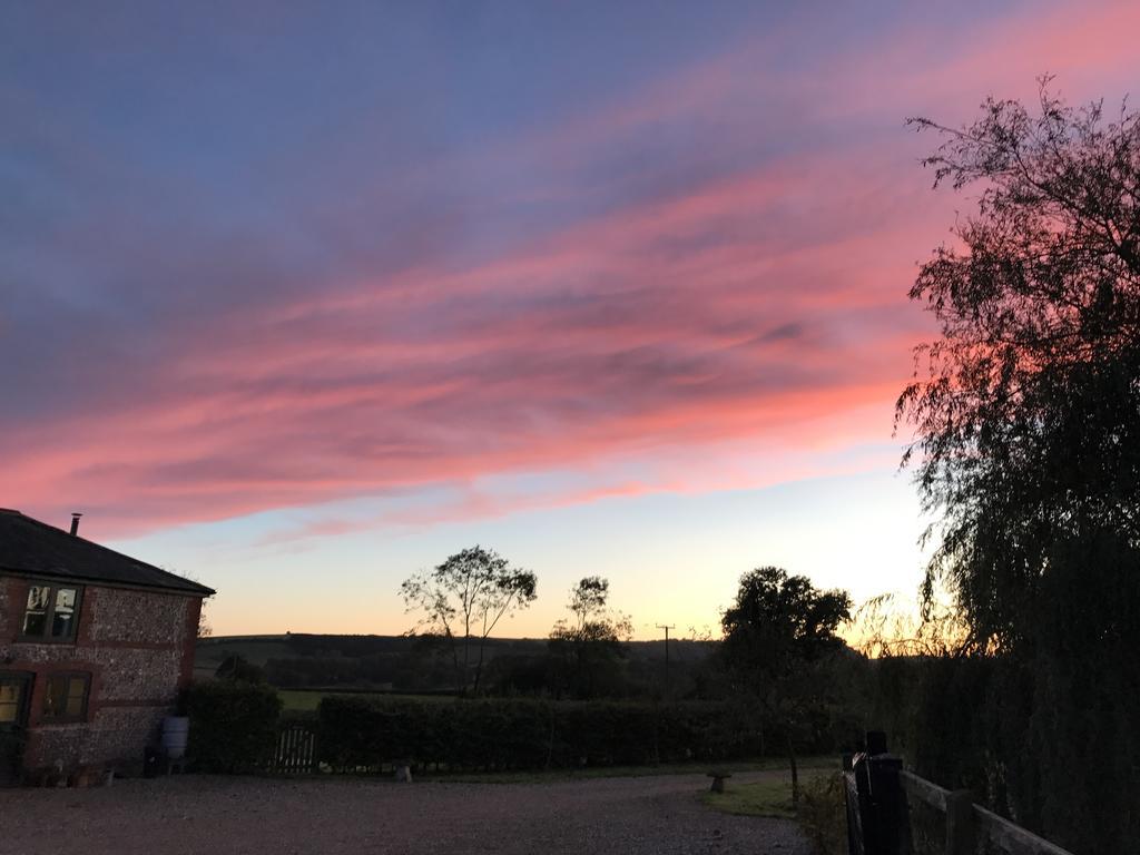 Ansty  Pleck Barn B&B מראה חיצוני תמונה